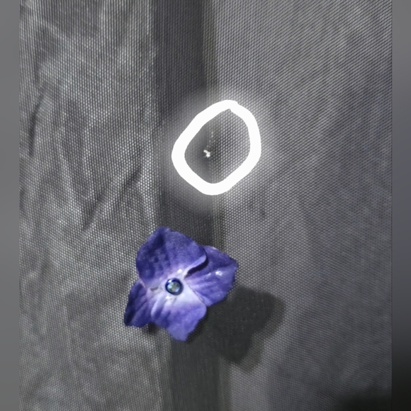 Cache Black Maxi Dress with Purple Floral Accents - Picture 8 of 16